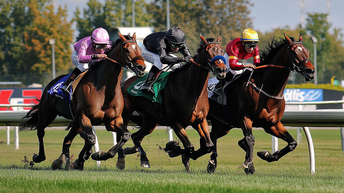 Analyse Détaillée des Courses Quinté+ : Prédictions, Statistiques Clés et Résultats Gagnants